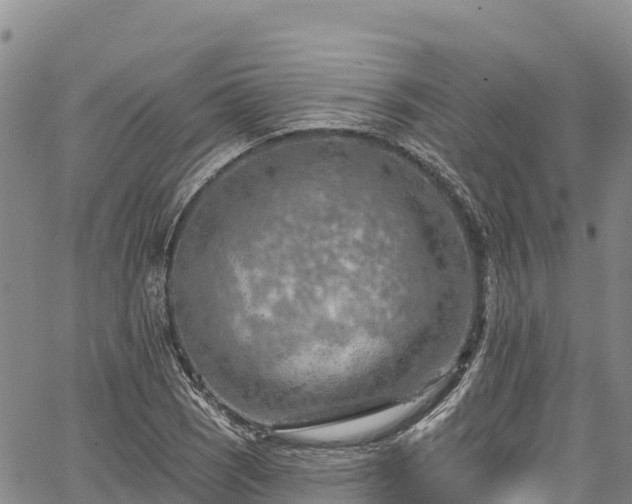 X0000067511121200604101249