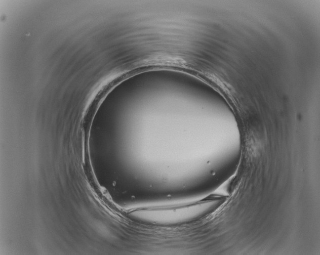 X0000067511123200604101249