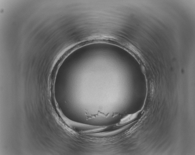 X0000067511124200604101249