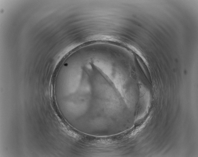 X0000067511125200604101249