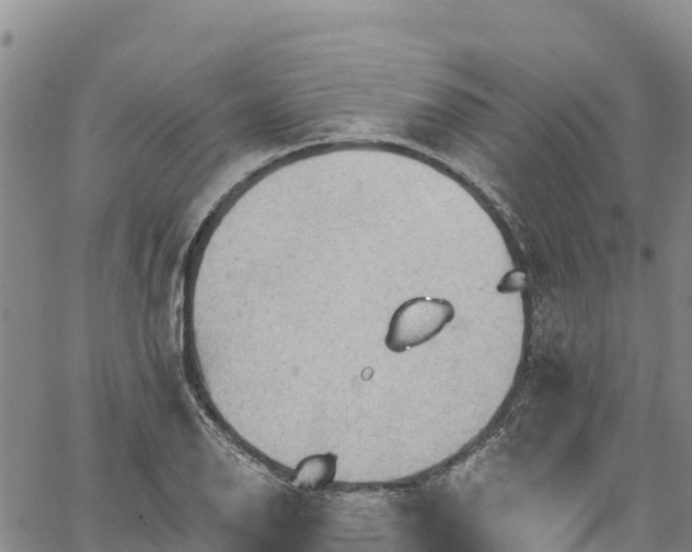 X0000067511126200604101249