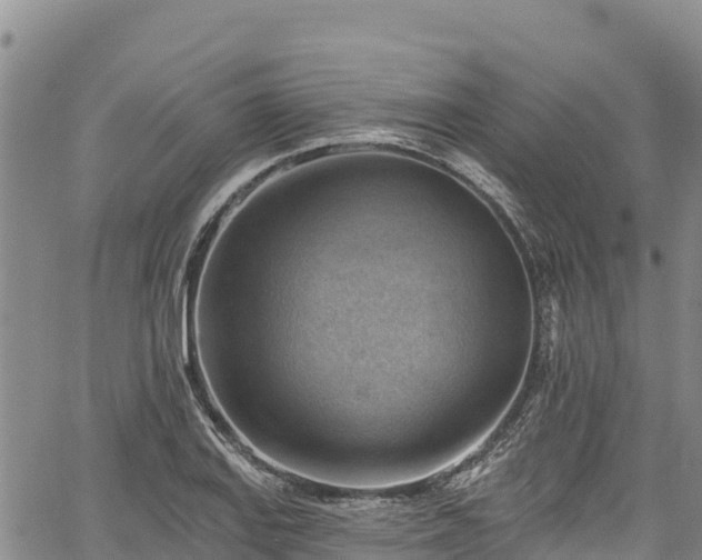 X0000067511127200604101249