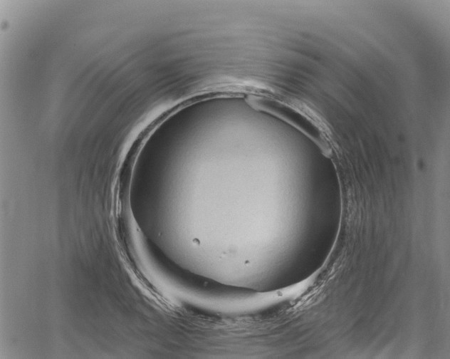 X0000067511128200604101249