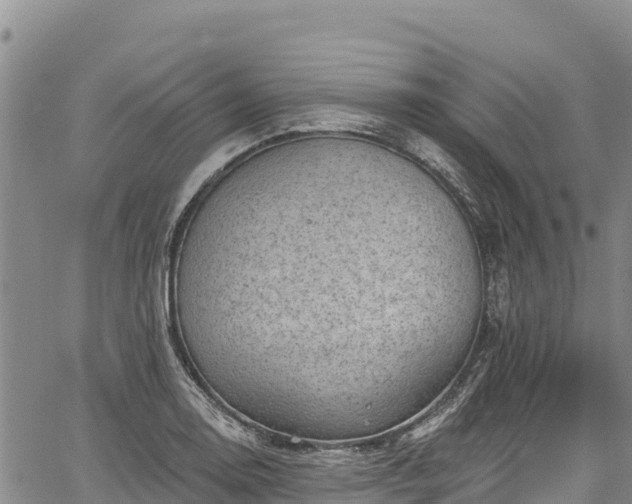 X0000067511130200604101249