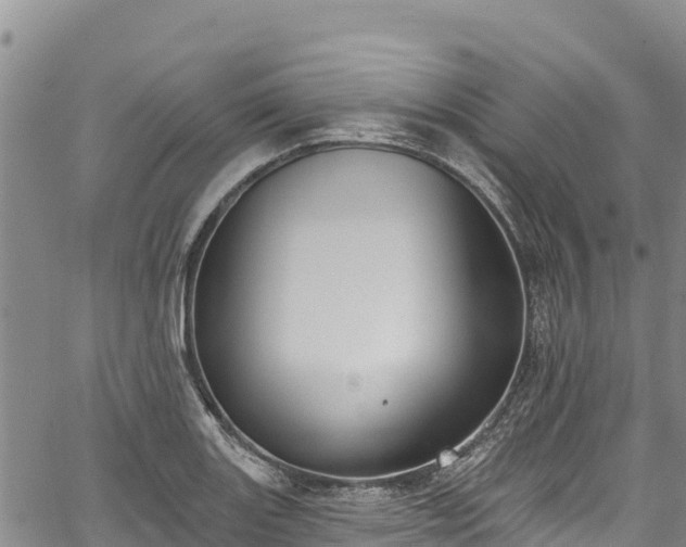 X0000067511131200604101249