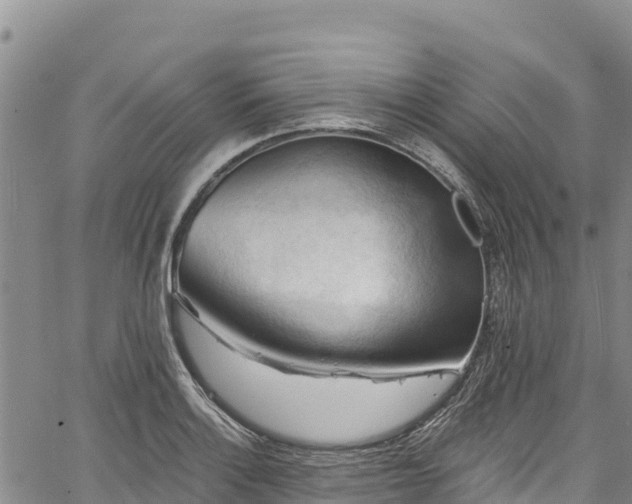 X0000067511132200604101249