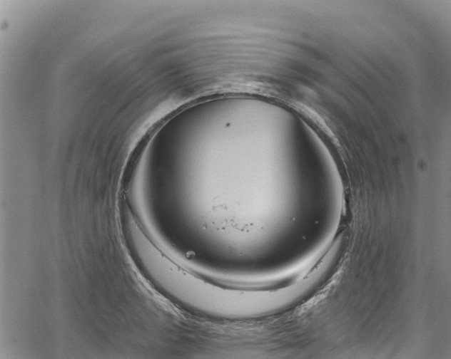 X0000067511133200604101249