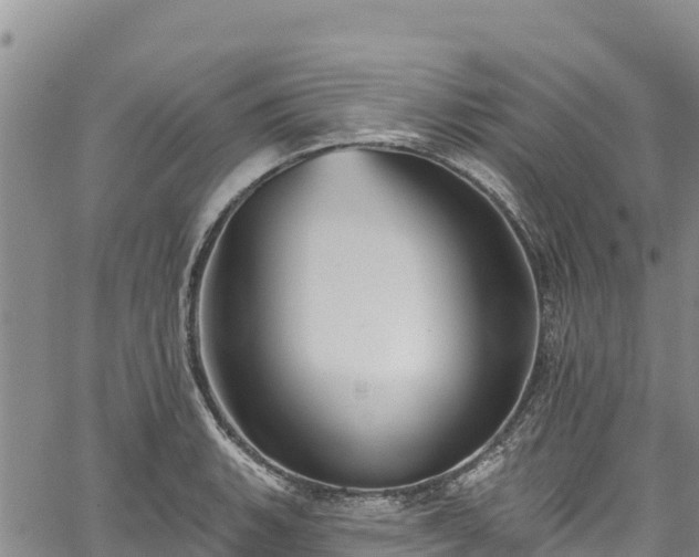 X0000067511135200604101249