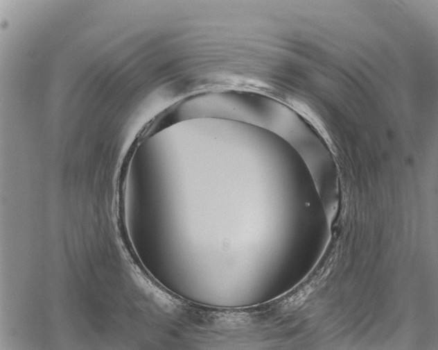 X0000067511136200604101249