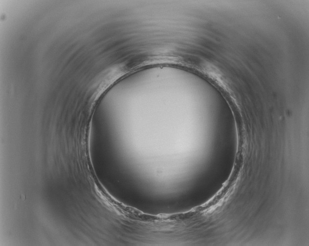 X0000067511137200604101249