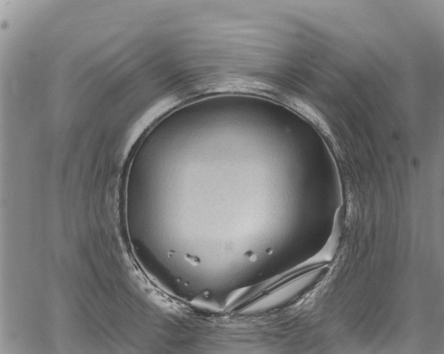 X0000067511138200604101249