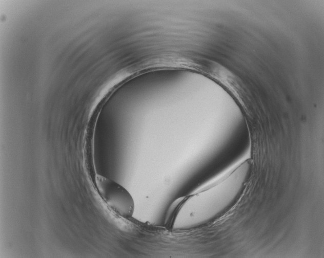 X0000067511139200604101249