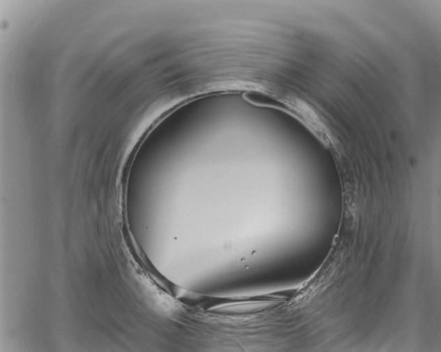 X0000067511140200604101249