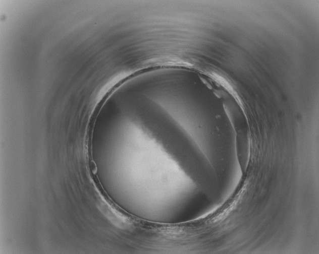 X0000067511141200604101249