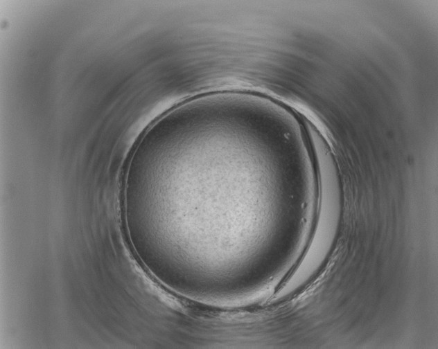 X0000067511142200604101249