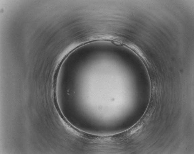 X0000067511143200604101249