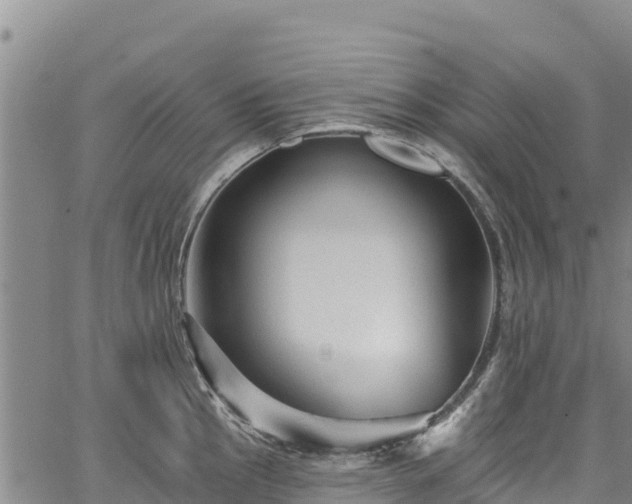 X0000067511145200604101249