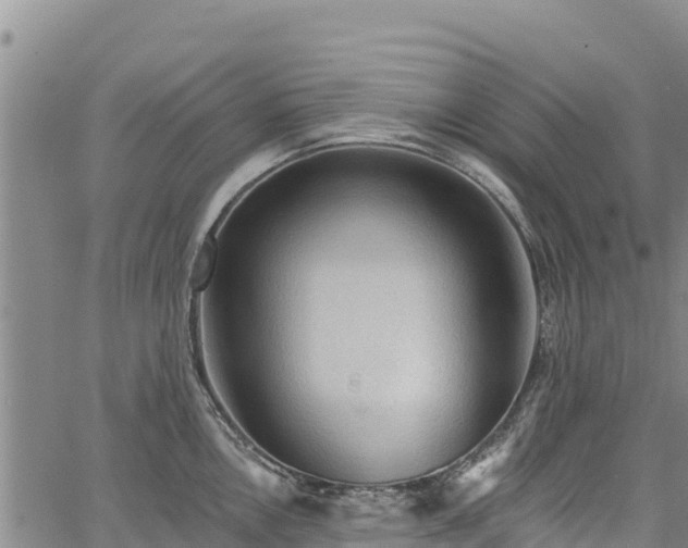 X0000067511146200604101249