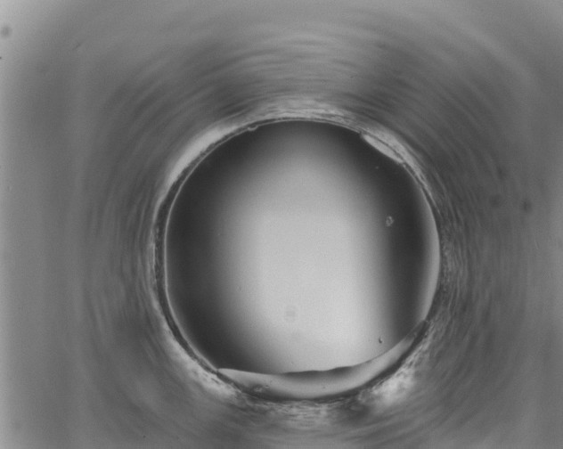 X0000067511147200604101249