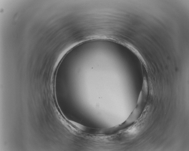 X0000067511148200604101249