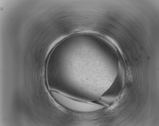 X0000067511149200604101249