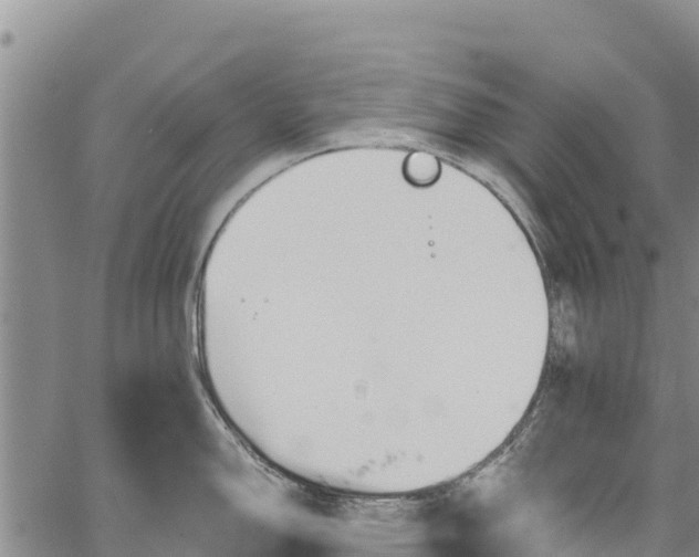 X0000067511150200604101249