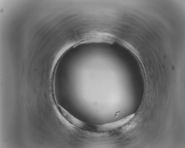 X0000067511152200604101249