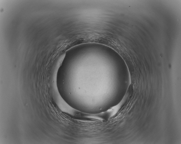 X0000067511153200604101248