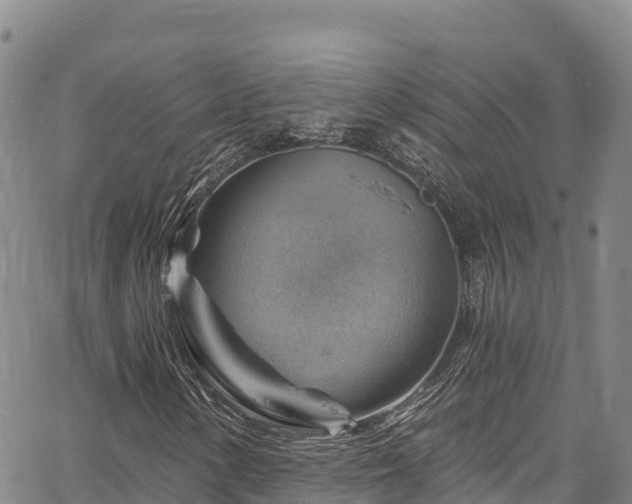 X0000067511154200604101248