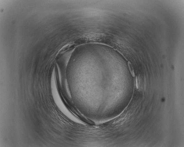 X0000067511155200604101248