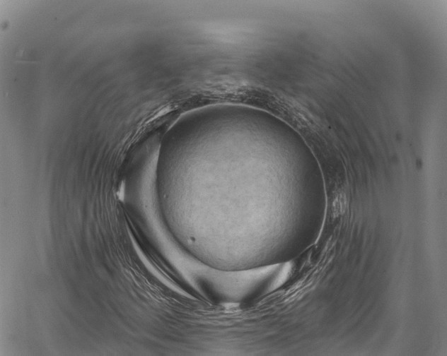 X0000067511156200604101248