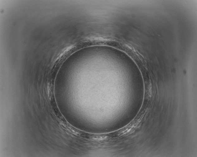 X0000067511157200604101248