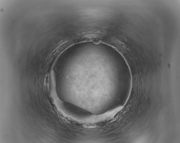 X0000067511158200604101248