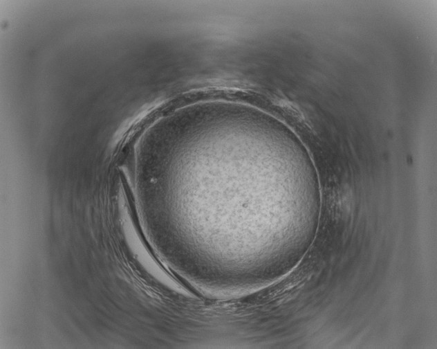 X0000067511159200604101248