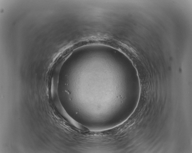 X0000067511160200604101248