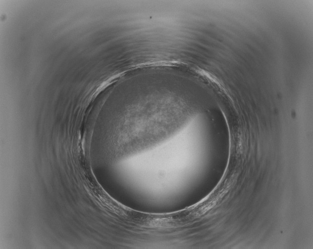 X0000067511161200604101248