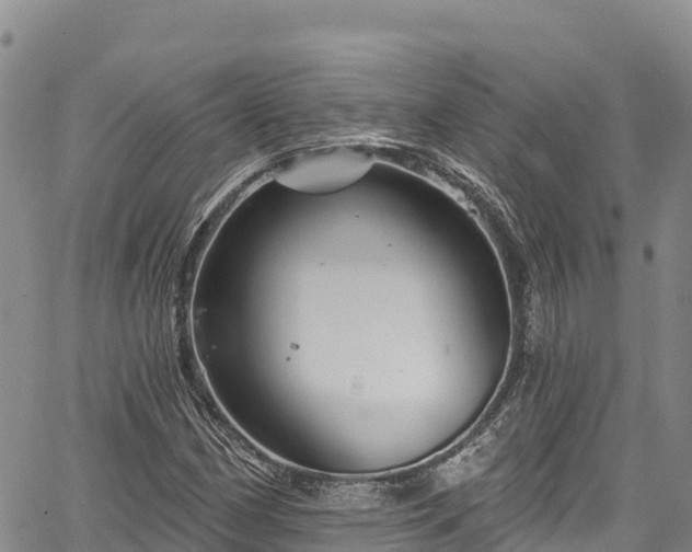 X0000067511162200604101248