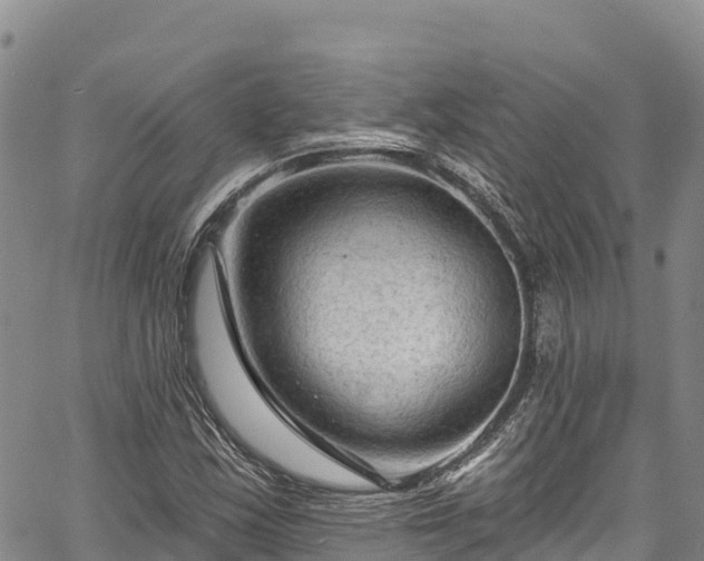 X0000067511163200604101248