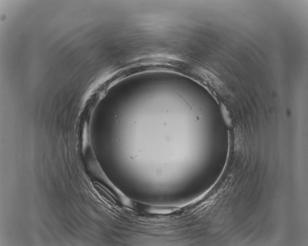 X0000067511164200604101248