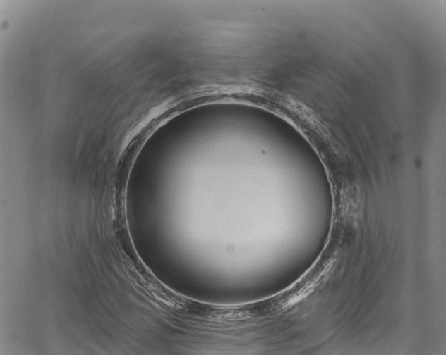 X0000067511165200604101248