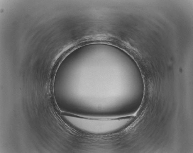 X0000067511166200604101248