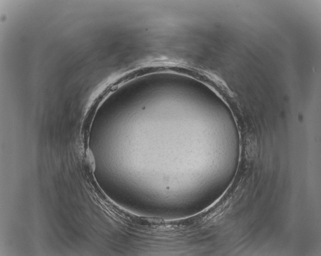 X0000067511167200604101248