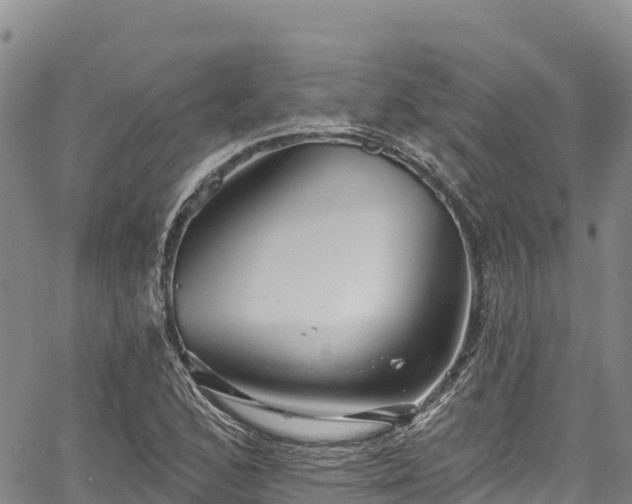 X0000067511168200604101248