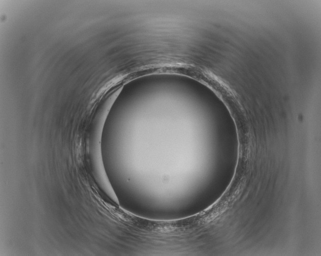 X0000067511169200604101248