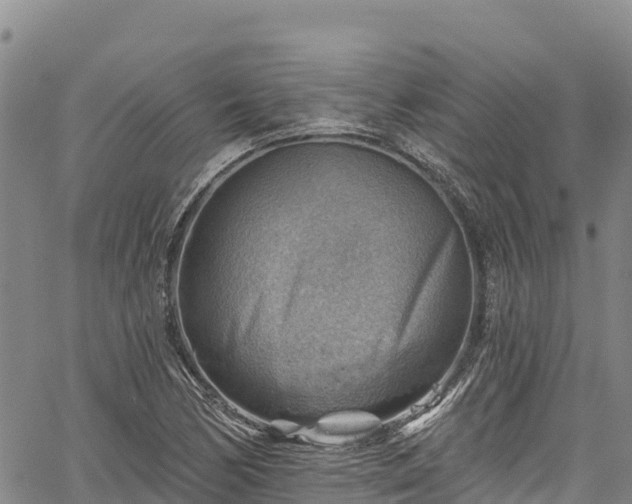 X0000067511170200604101248