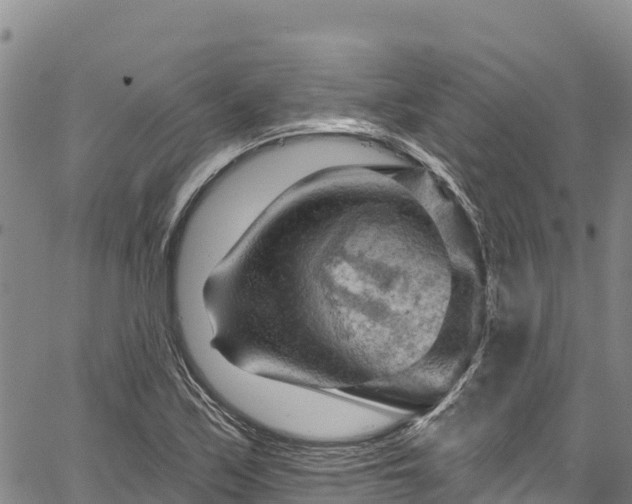 X0000067511171200604101248