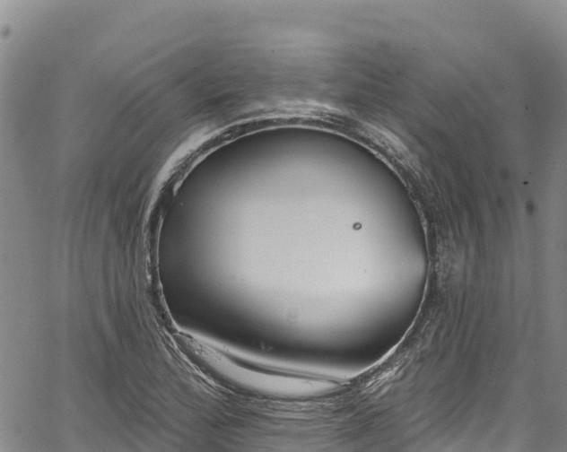 X0000067511172200604101248