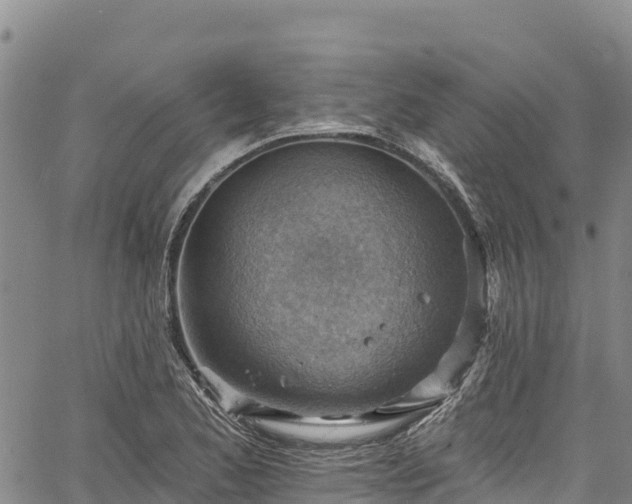 X0000067511173200604101248