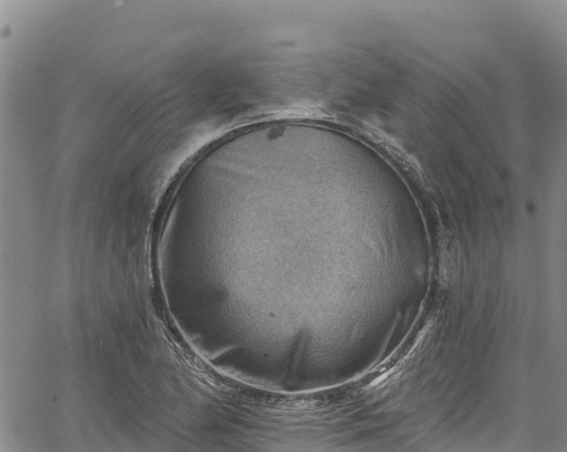 X0000067511174200604101248