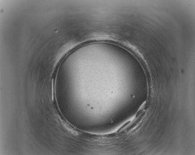 X0000067511175200604101248